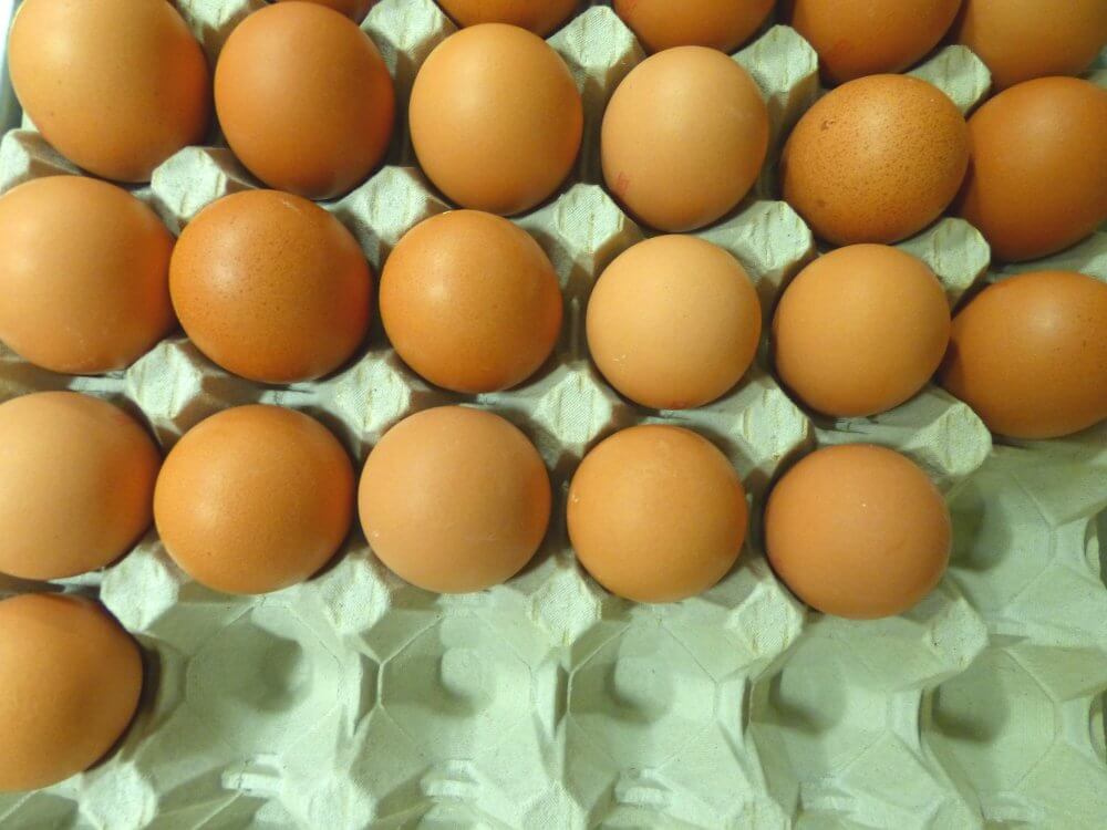 braune Eier in einer Papp-Eierschale