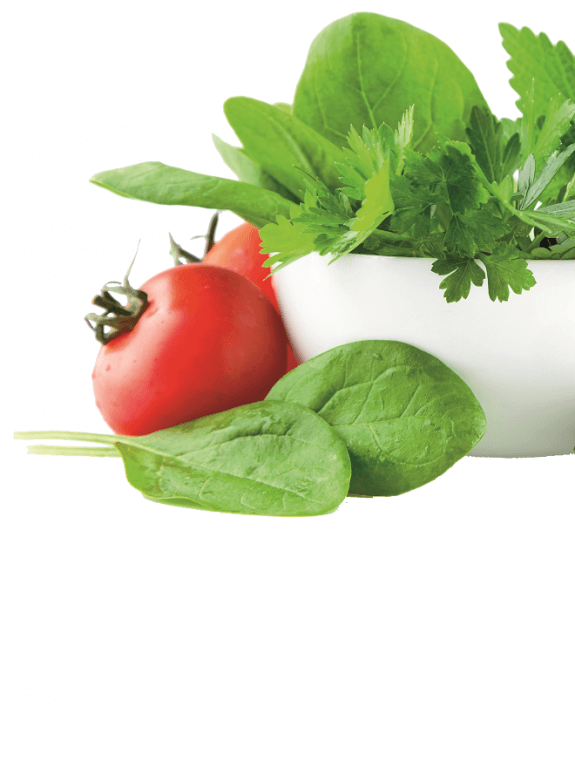 Frische Kräuter, eine Tomate und Salat in einem weißen Schälchen