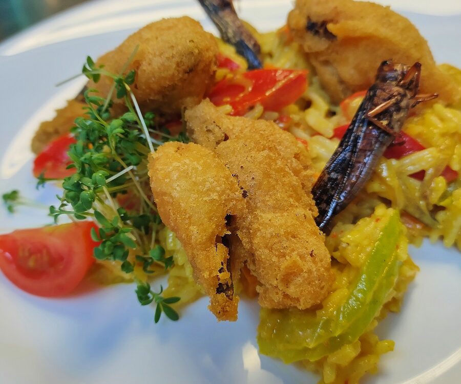 Frittierte Heuschrecke