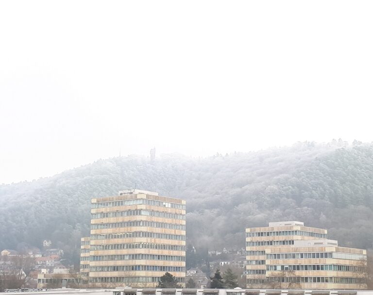 Schnee in Marburg