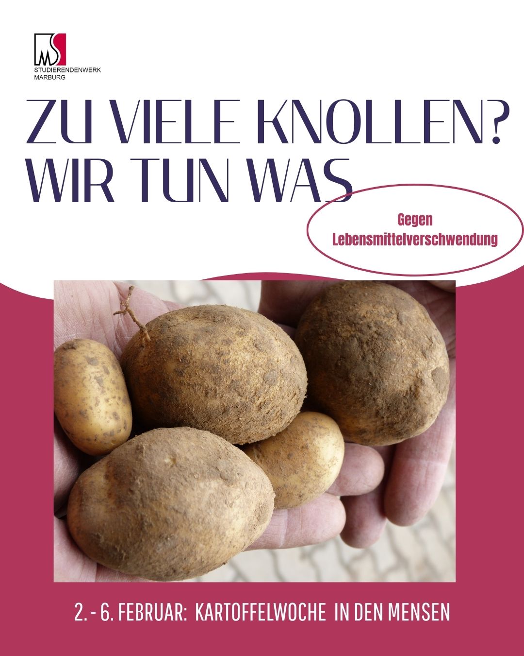 2. – 6. Februar: Kartoffel-Woche in den Mensen!