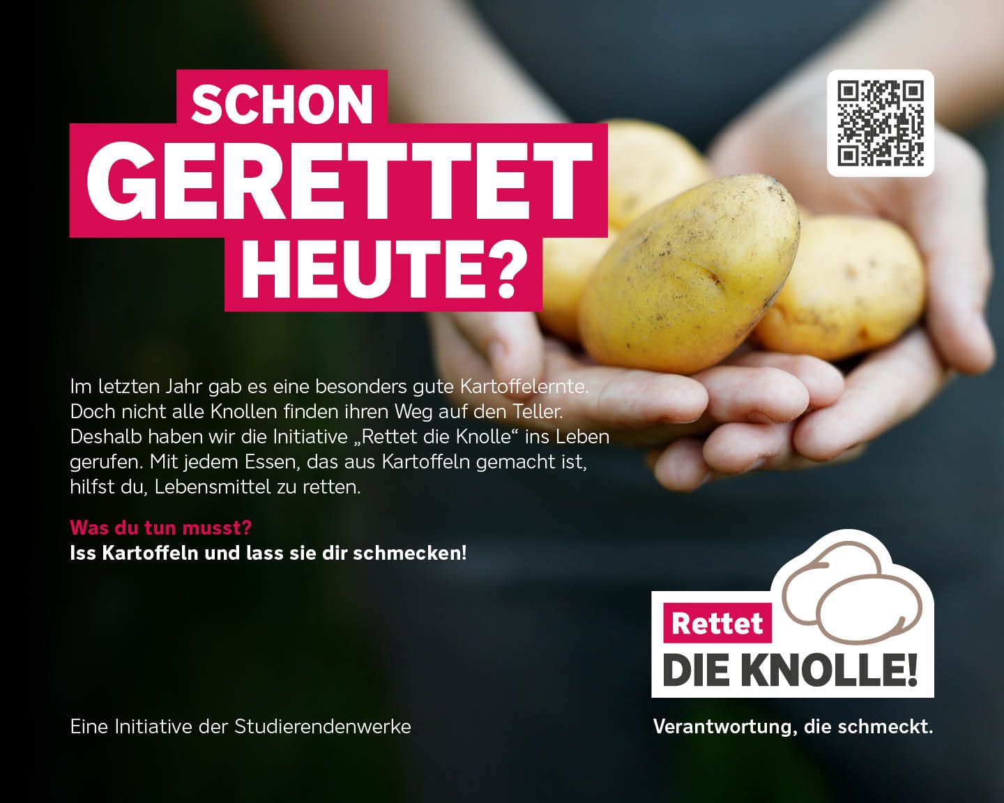 Rettet die Knolle!